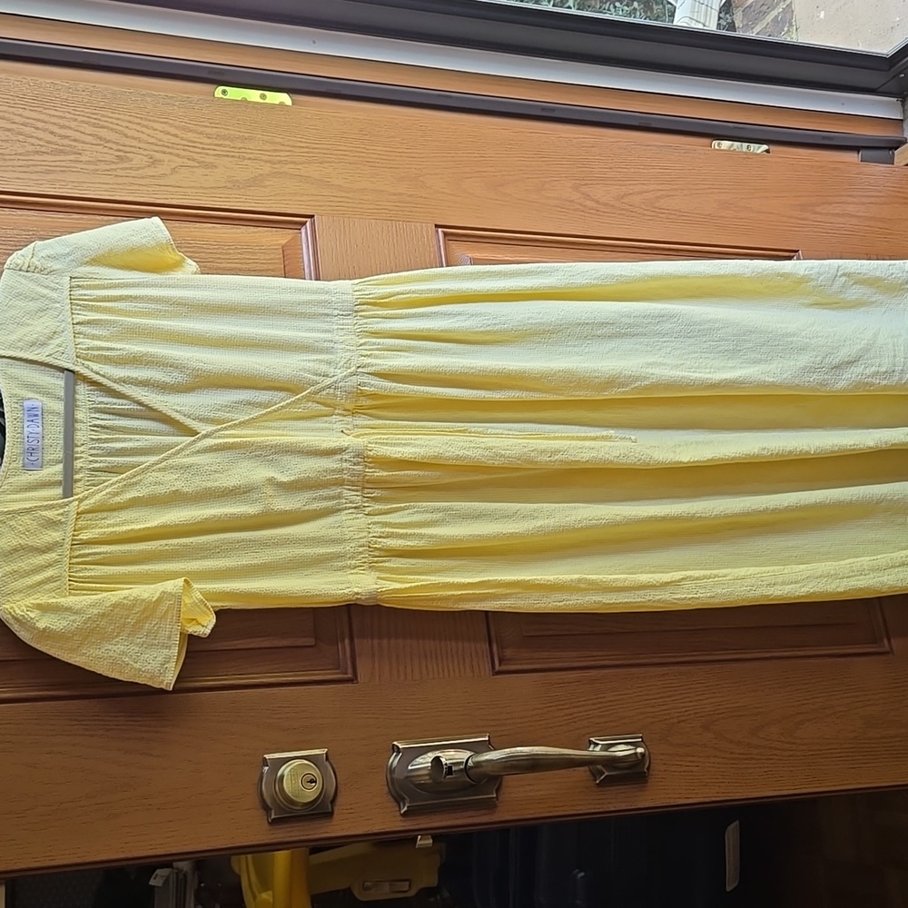 Make An Offer!! Christy Dawn Dawn Dress in Gingham Yellow Small